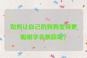 如何让自己的狗狗变得更聪明学会跟踪呢？