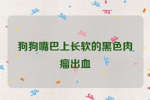 狗狗嘴巴上长软的黑色肉瘤出血