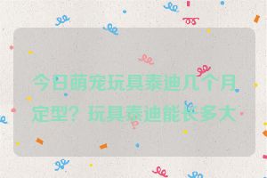 今日萌宠玩具泰迪几个月定型？玩具泰迪能长多大