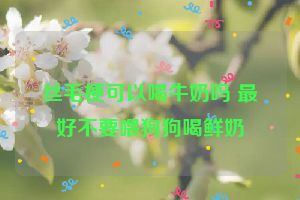 丝毛梗可以喝牛奶吗 最好不要喂狗狗喝鲜奶