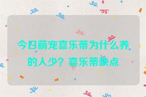 今日萌宠喜乐蒂为什么养的人少？喜乐蒂缺点