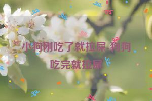 小狗刚吃了就拉屎-狗狗吃完就拉屎