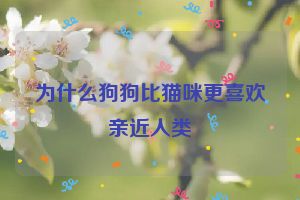 为什么狗狗比猫咪更喜欢亲近人类