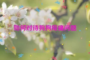 如何对待狗狗疼痛问题