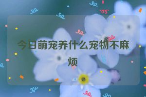 今日萌宠养什么宠物不麻烦