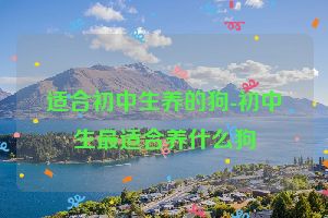 适合初中生养的狗-初中生最适合养什么狗