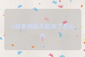 15年老狗站不起来了怎么办