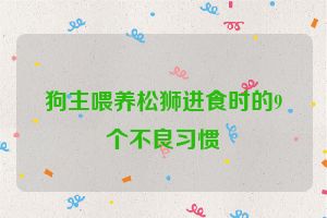 狗主喂养松狮进食时的9个不良习惯