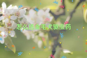 怎么选金毛犬驱虫药