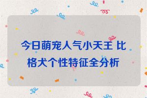 今日萌宠人气小天王 比格犬个性特征全分析