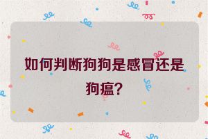 如何判断狗狗是感冒还是狗瘟？