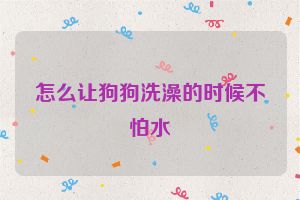 怎么让狗狗洗澡的时候不怕水