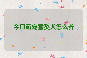 今日萌宠雪獒犬怎么养