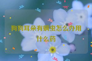 狗狗耳朵有螨虫怎么办用什么药