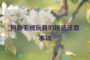 狗狗毛绒玩具的挑选注意事项