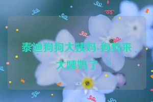 泰迪狗狗大姨妈-狗狗来大姨妈了