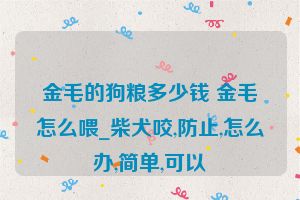 金毛的狗粮多少钱 金毛怎么喂_柴犬咬,防止,怎么办,简单,可以