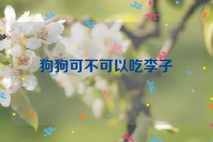 狗狗可不可以吃李子
