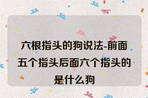 六根指头的狗说法-前面五个指头后面六个指头的是什么狗