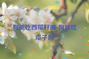 狗能吃西瓜籽嘛-狗能吃瓜子吗