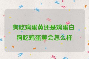 狗吃鸡蛋黄还是鸡蛋白 狗吃鸡蛋黄会怎么样