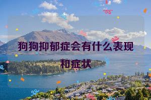 狗狗抑郁症会有什么表现和症状