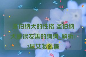 圣伯纳犬的性格 圣伯纳犬是很友善的狗狗_解析12星女怎么追