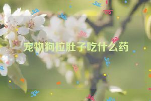 宠物狗拉肚子吃什么药