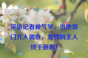 采访记者被气哭，当地部门介入调查，宠物狗主人终于道歉！