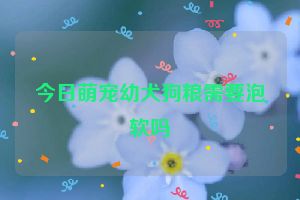 今日萌宠幼犬狗粮需要泡软吗