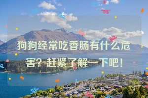 狗狗经常吃香肠有什么危害？赶紧了解一下吧！