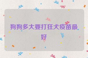 狗狗多大要打狂犬疫苗最好