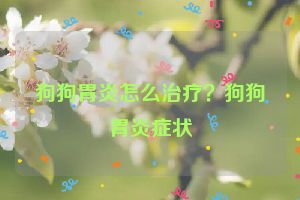 狗狗胃炎怎么治疗？狗狗胃炎症状