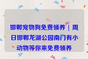 邯郸宠物狗免费领养 | 周日邯郸龙湖公园南门有小动物等你来免费领养