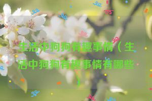 生活中狗狗有趣事情（生活中狗狗有趣事情有哪些）