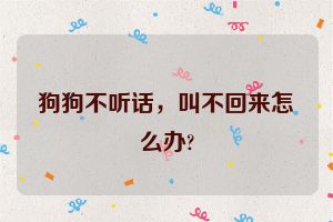 狗狗不听话，叫不回来怎么办?