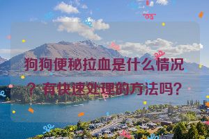 狗狗便秘拉血是什么情况？有快速处理的方法吗？
