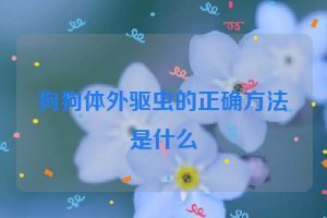 狗狗体外驱虫的正确方法是什么