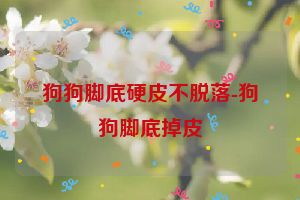 狗狗脚底硬皮不脱落-狗狗脚底掉皮