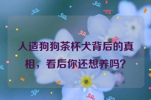 人造狗狗茶杯犬背后的真相，看后你还想养吗？