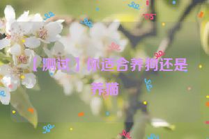 【测试】你适合养狗还是养猫