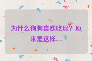 为什么狗狗喜欢吃屎?原来是这样.....