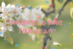 狗吃雄黄怎么治-狗狗吃了雄黄粉怎么办？