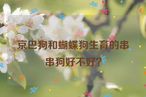 京巴狗和蝴蝶狗生育的串串狗好不好？