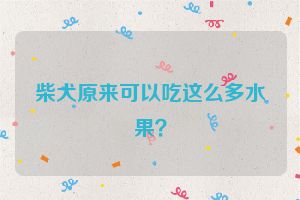 柴犬原来可以吃这么多水果？