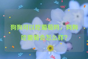 狗狗可以吃葡萄吗，狗狗吃葡萄会怎么样？