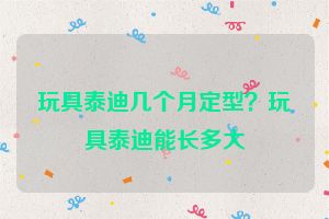 玩具泰迪几个月定型？玩具泰迪能长多大