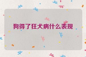 狗得了狂犬病什么表现