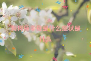 狗狗痉挛症是什么症状是什么