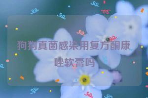 狗狗真菌感染用复方酮康唑软膏吗